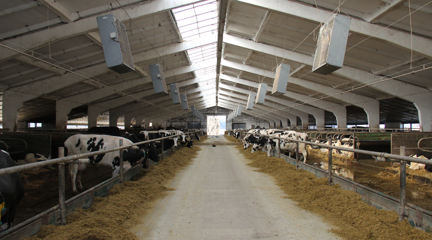 Референтна модель молочної ферми — скільки МТФ скористалося і  як це зробити вам?