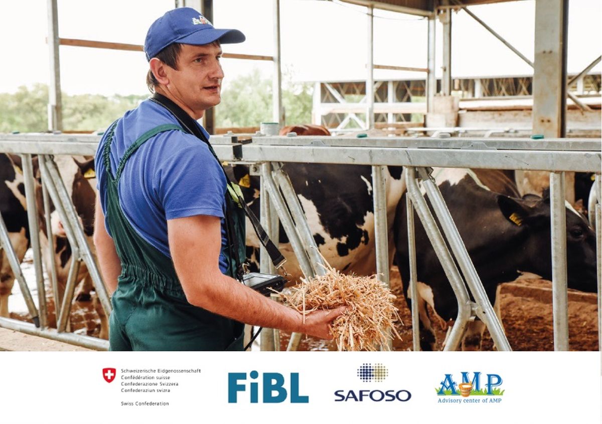 КЦ АВМ реалізував консультативний проєкт за підтримки Швейцарії для господарств з виробництва молока  в постраждалих від бойових дій областях 