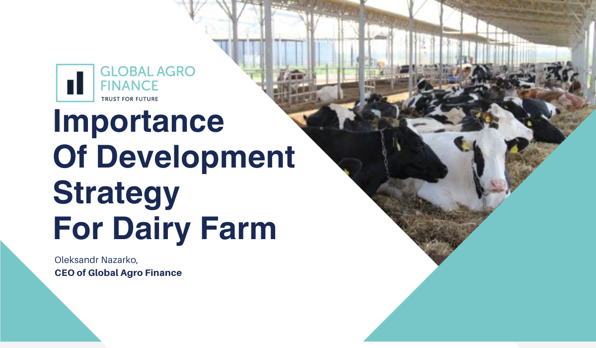 CREATING A STRATEGY OF DEVELOPMENT FOR DAIRY FARMS. GLOBAL AGRO FINANCE
