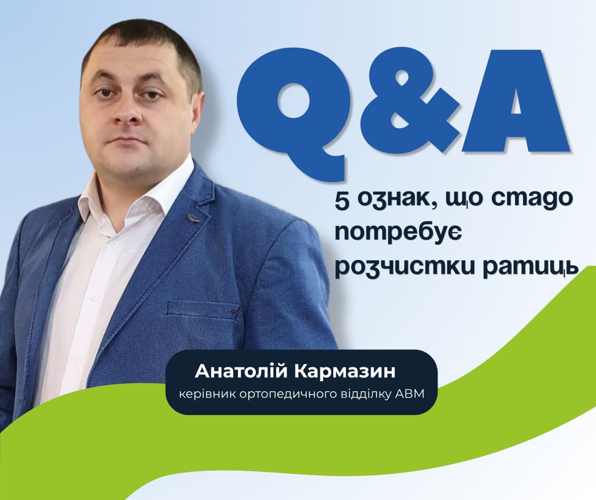 Які перші сигнали вказують, що стаду потрібна розчистка ратиць?