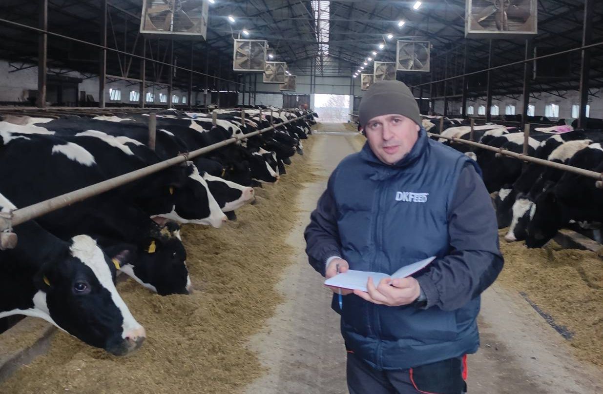 Годівля корів: контроль якості кормів та споживання сухої речовини 