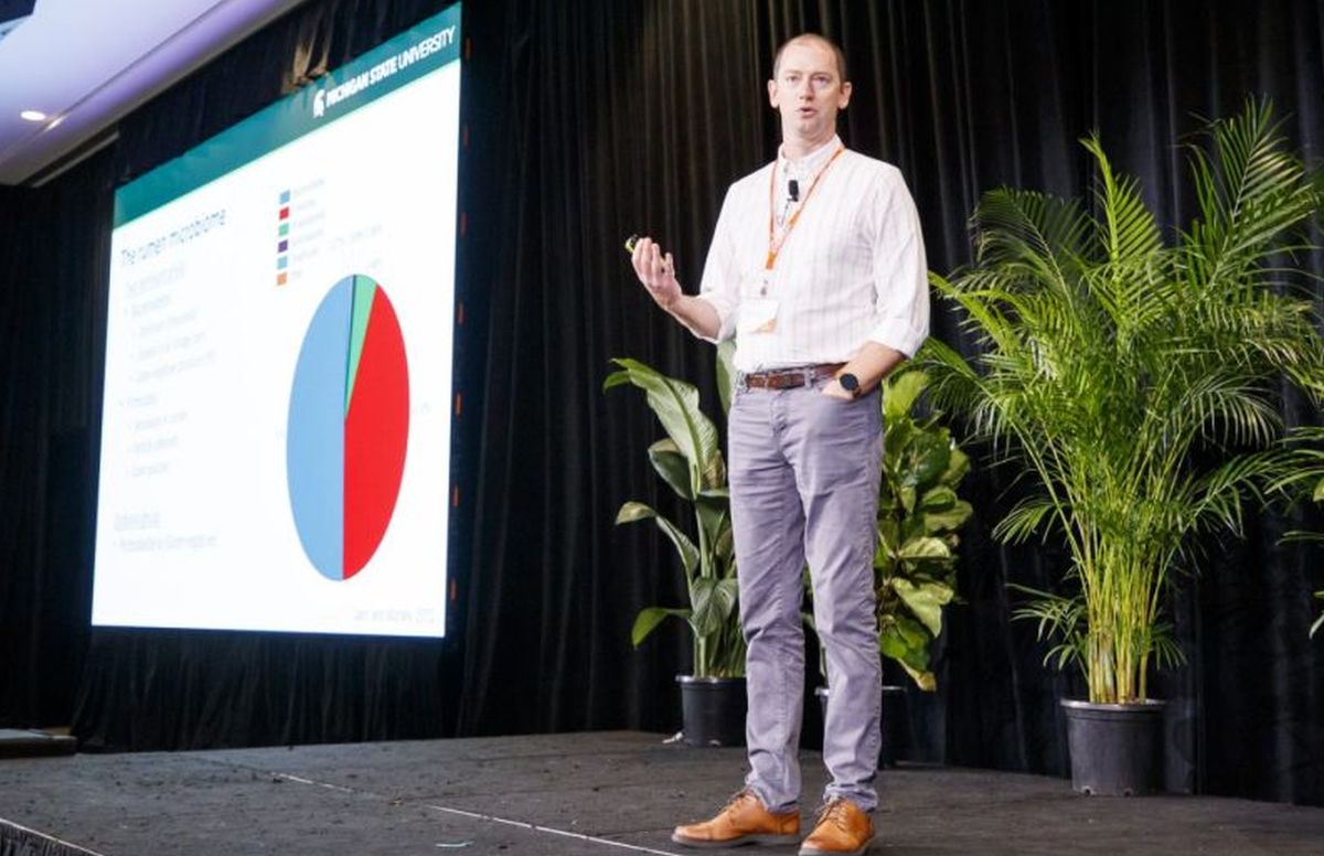 Dairy cattle have nutrient requirements similar to that of a marathon runner but they have the extra challenge of needing to fill their «plate» halfway with salad! — Barry Bradford