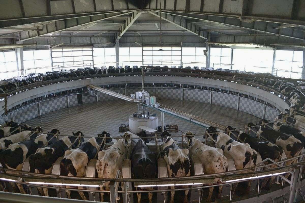 Запрошуємо на навчальний курс «Розумна автоматизація, роботизація та оптимізація роботи МТФ»