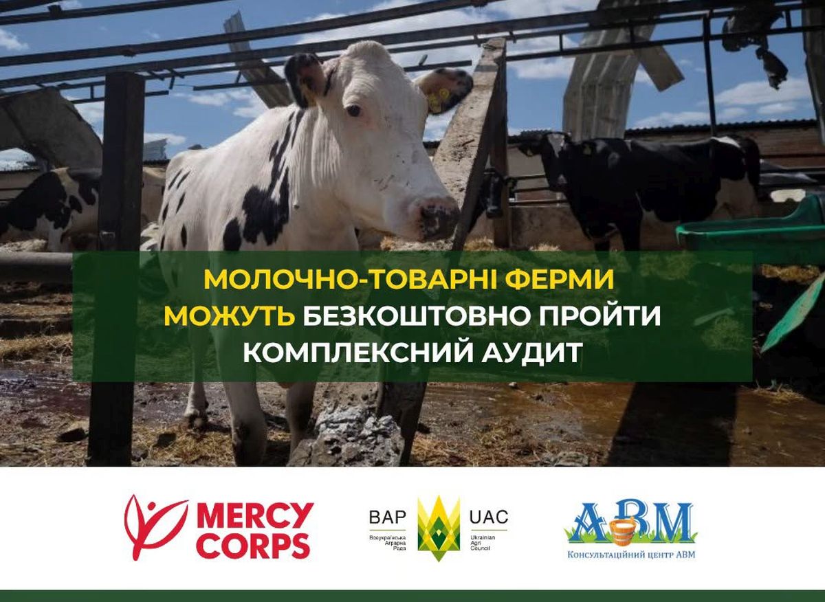 Молочно-товарні ферми можуть безкоштовно пройти комплексний аудит