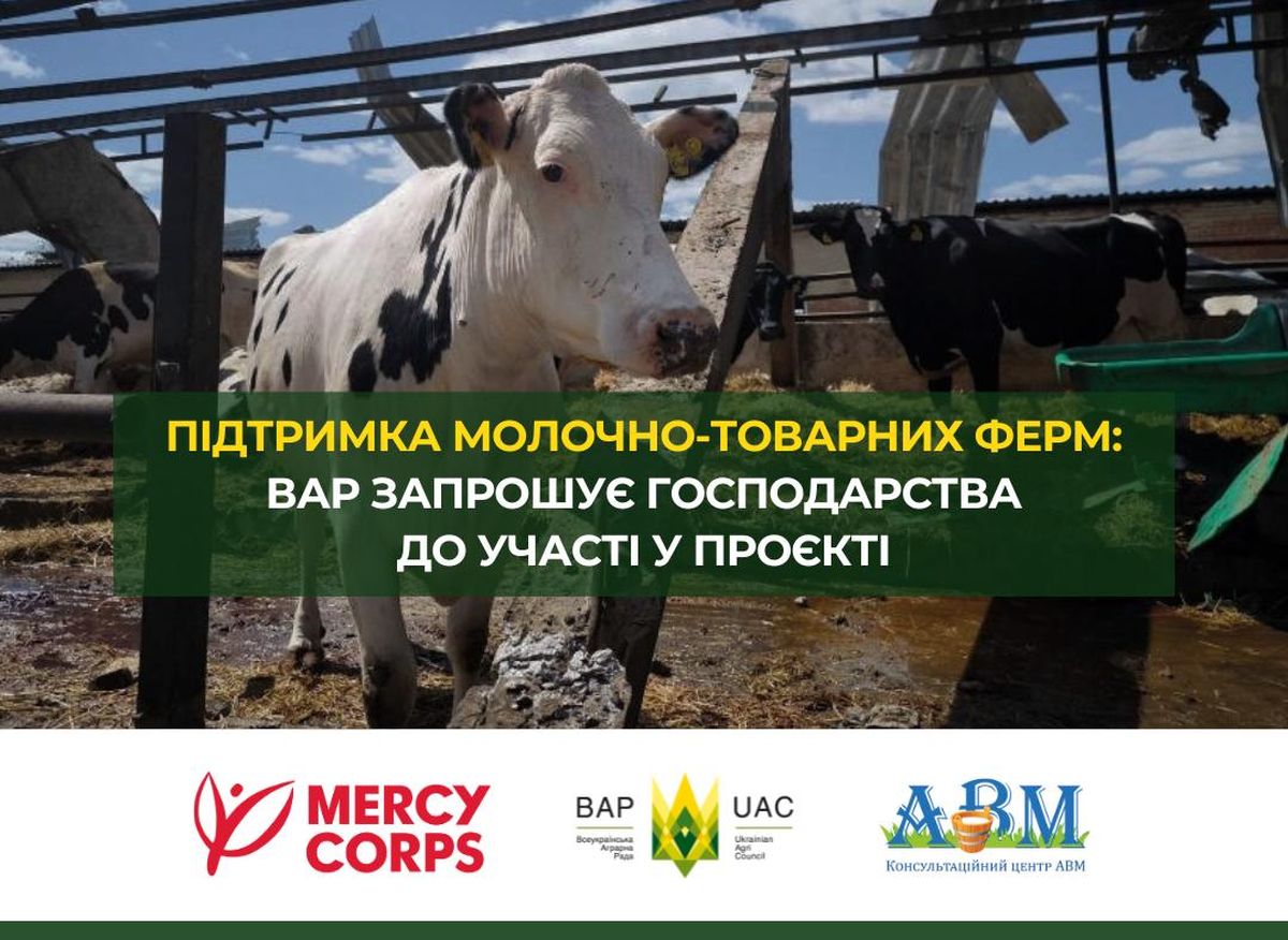 Підтримка молочно-товарних ферм у прифронтових регіонах: ВАР і КЦ АВМ запрошують господарства до участі у проєкті 