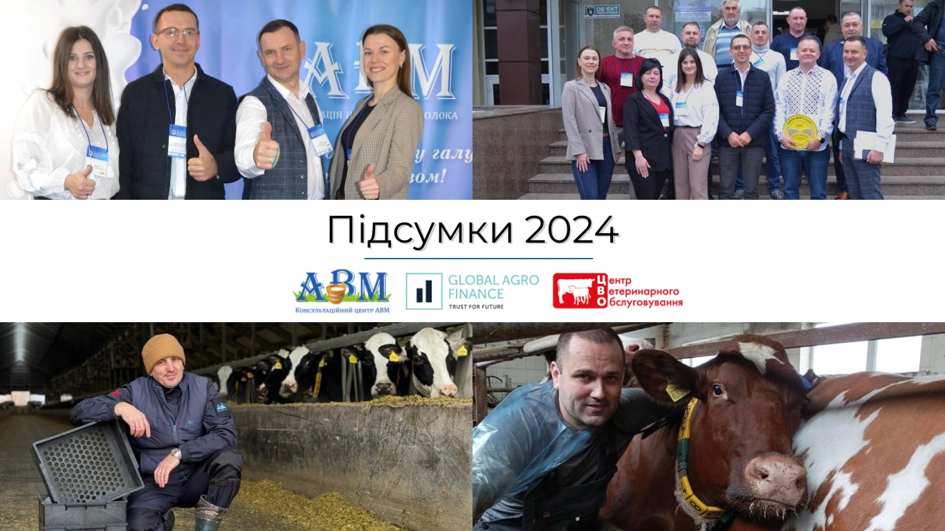 Група компаній КЦ АВМ, GAF, ЦВО — підсумки 2024 року 