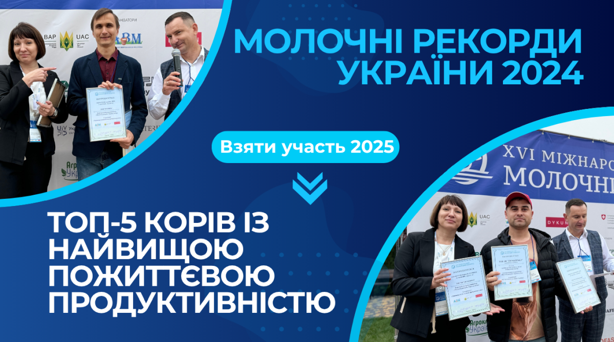ТОП-5 корів-рекордисток за результатами рейтингу «Молочні рекорди України-2024»