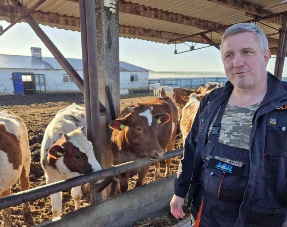 Повернення до професії: ветеран ЗСУ допомагає молочним фермам підвищувати ефективність