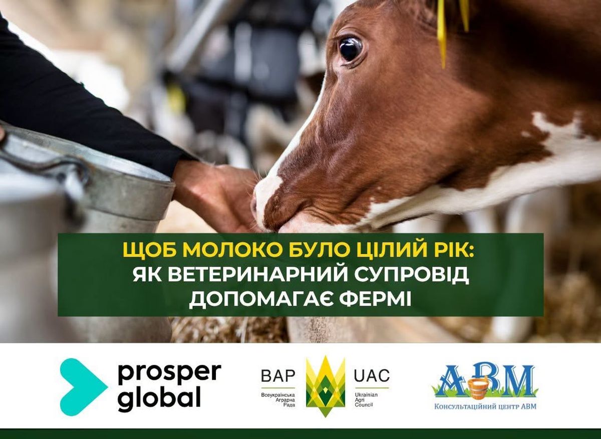 Щоб молоко було цілий рік: як ветеринарний супровід допомагає фермі