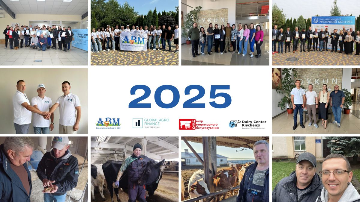 Група компаній КЦ АВМ, GAF, ЦВО, DCK — підсумки 2025 року