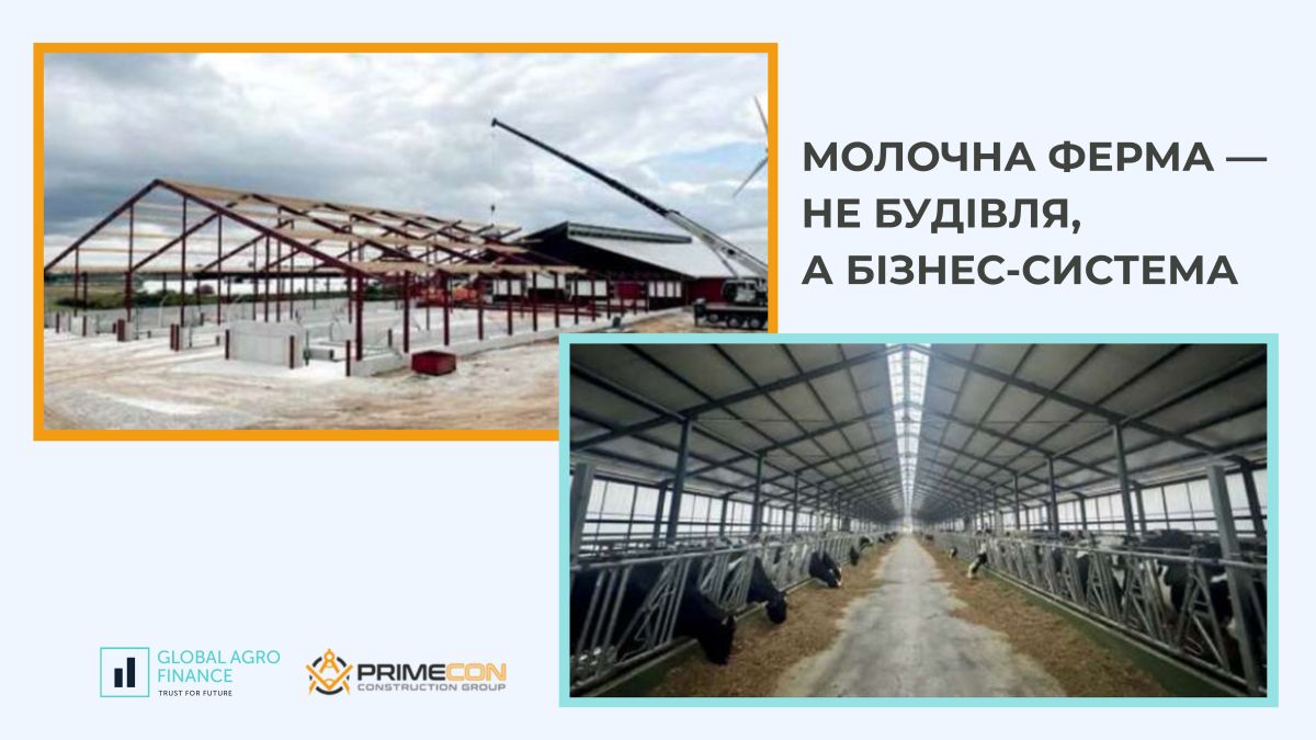 Молочна ферма — не будівля, а бізнес-система