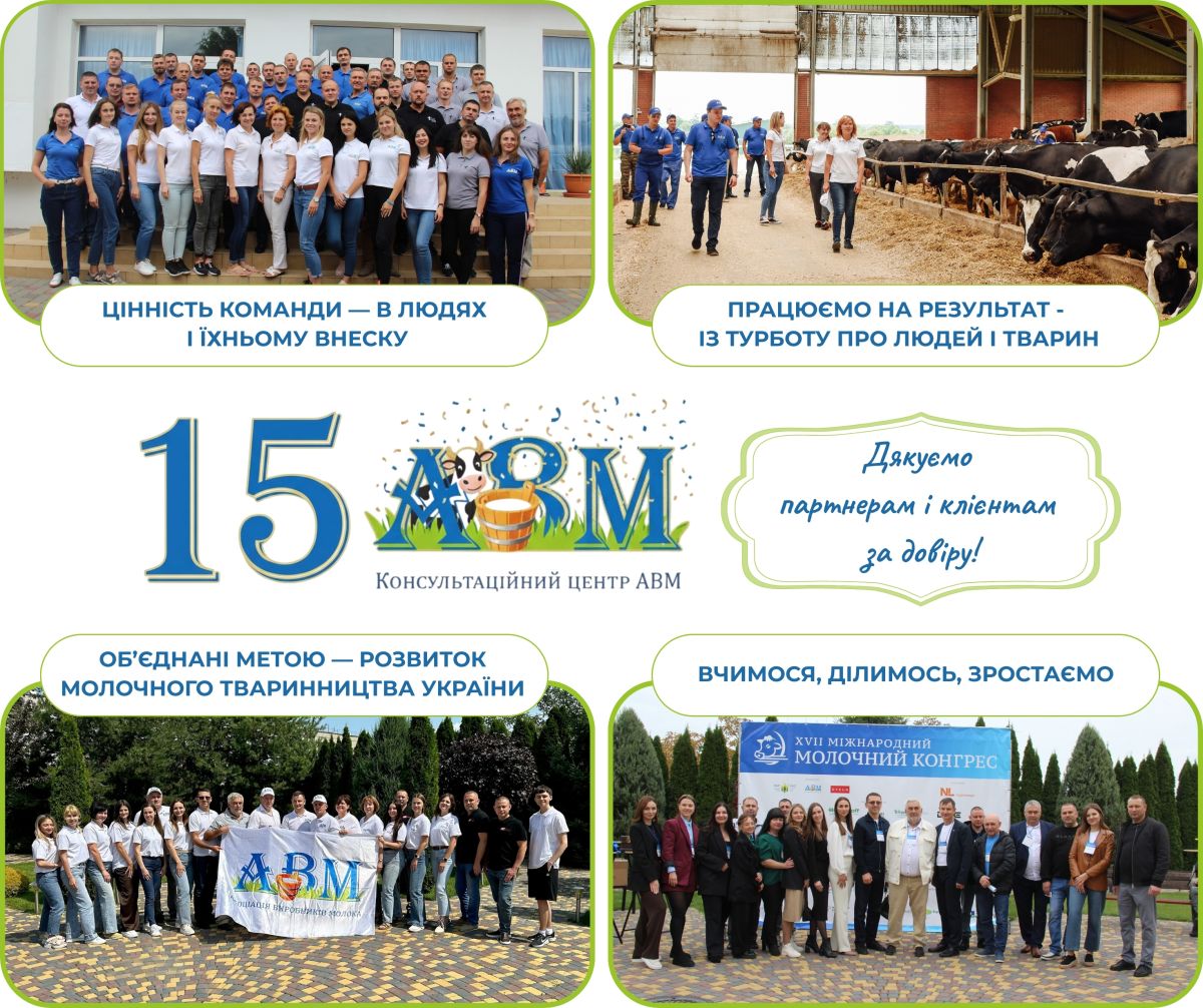 Консультаційний Центр АВМ відзначає 15-річчя!